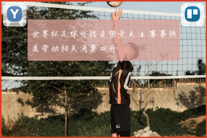 世界杯足球价格走势受关注 赛事热度带动相关消费回升