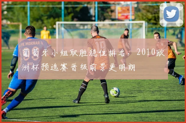 葡萄牙小组取胜稳住排名，2010欧洲杯预选赛晋级前景更明朗